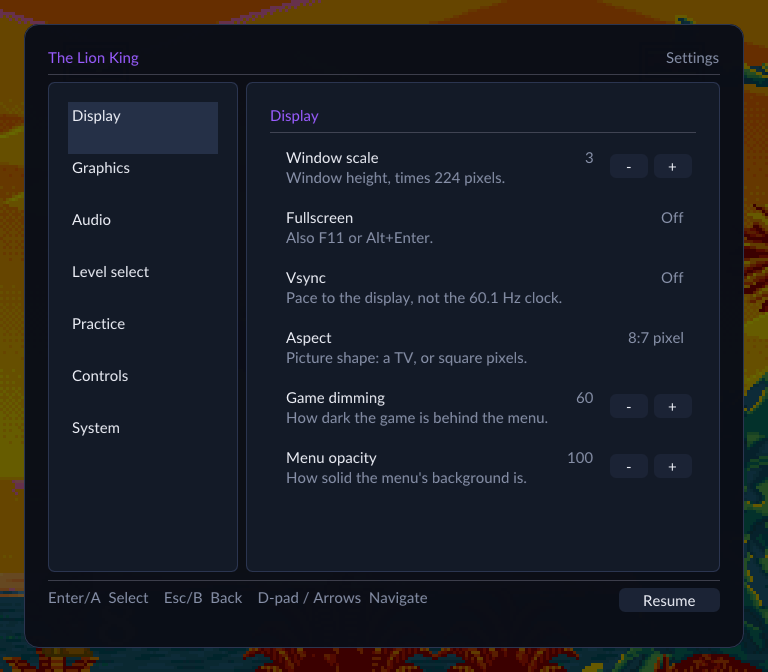 The settings menu drawn over the game, Display section selected